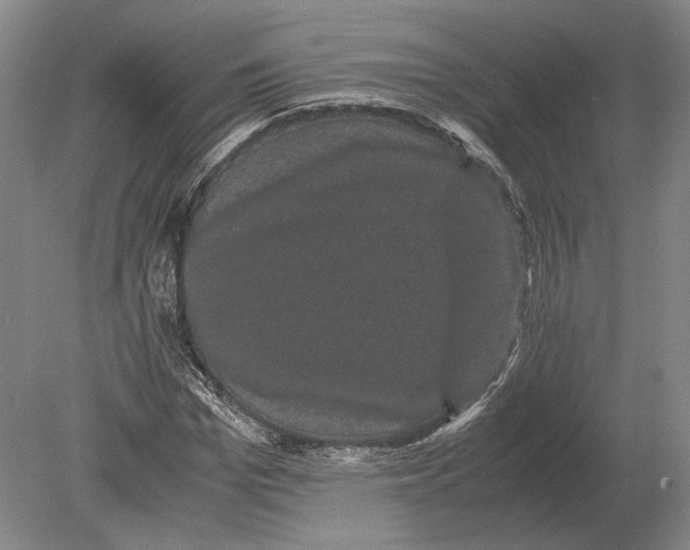 X0000078840969200612041835