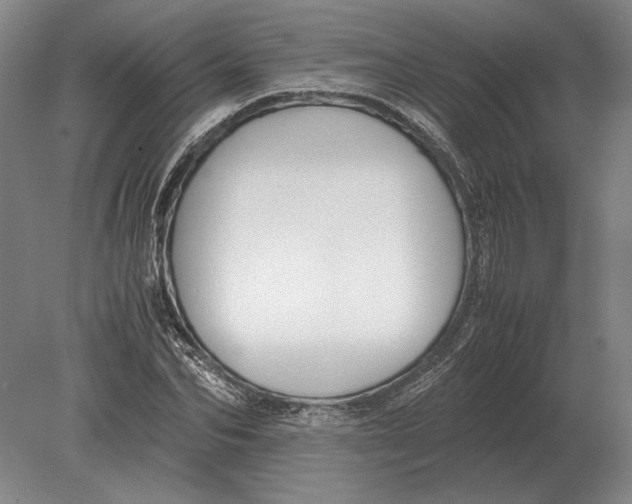 X0000078840974200612041835