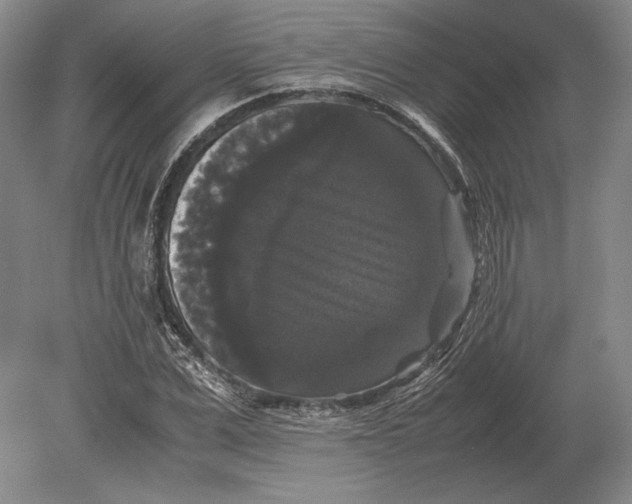 X0000078840975200612041835