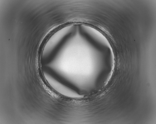 X0000078840976200612041835