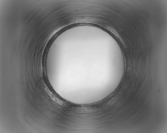 X0000078840980200612041835