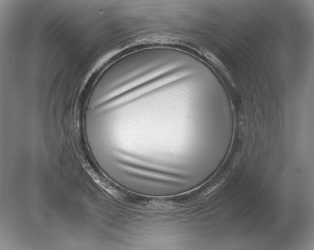 X0000078840981200612041835