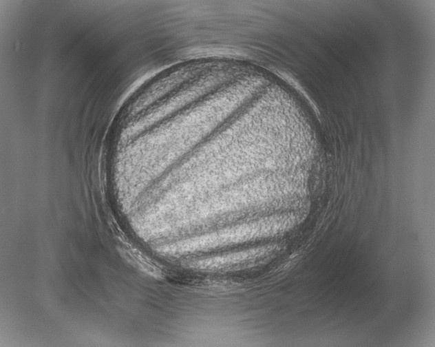 X0000078840983200612041835