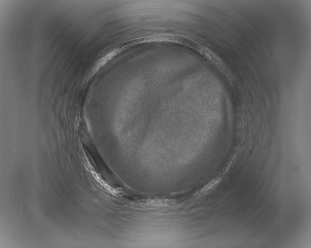 X0000078840985200612041835