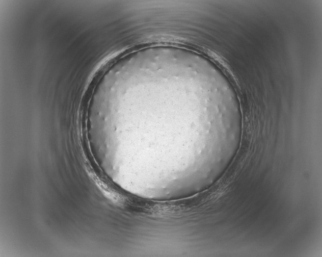 X0000078840987200612041835