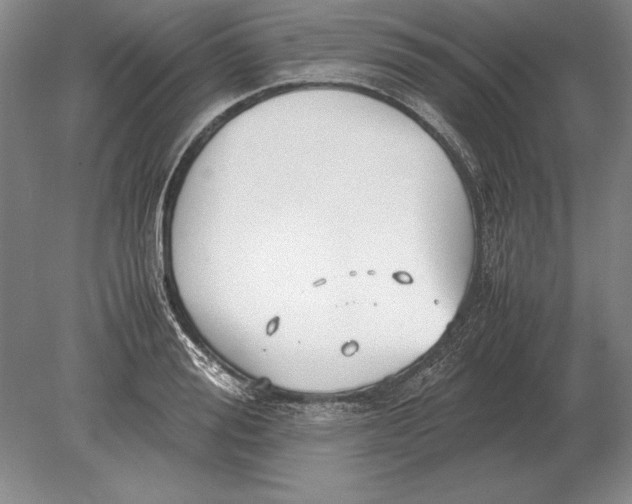 X0000078840988200612041835