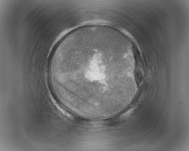 X0000078840989200612041835