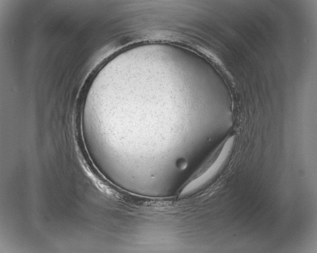 X0000078840991200612041835