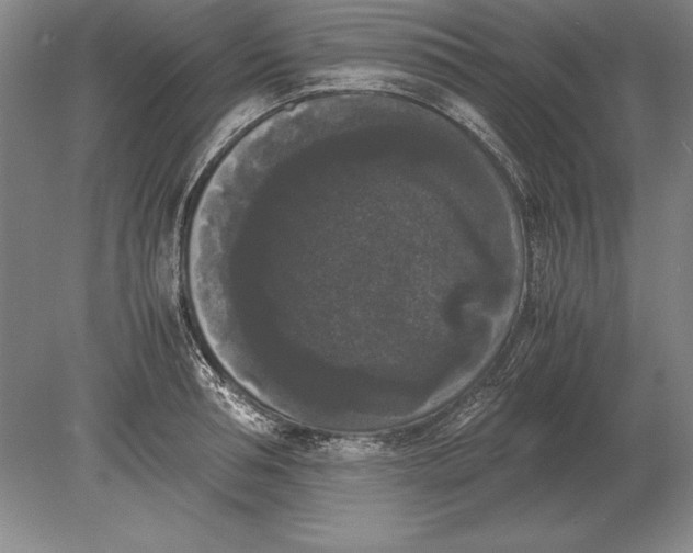 X0000078840994200612041835