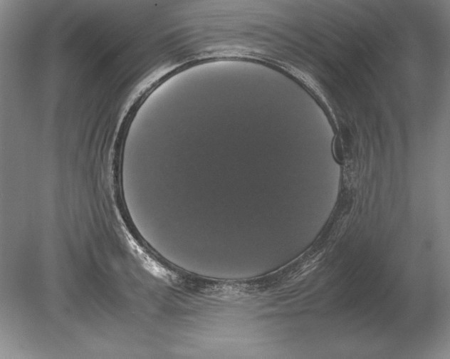 X0000078840995200612041835