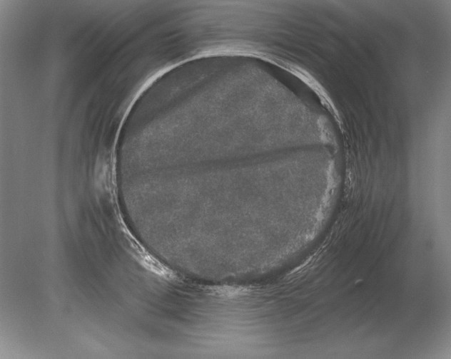 X0000078840996200612041835