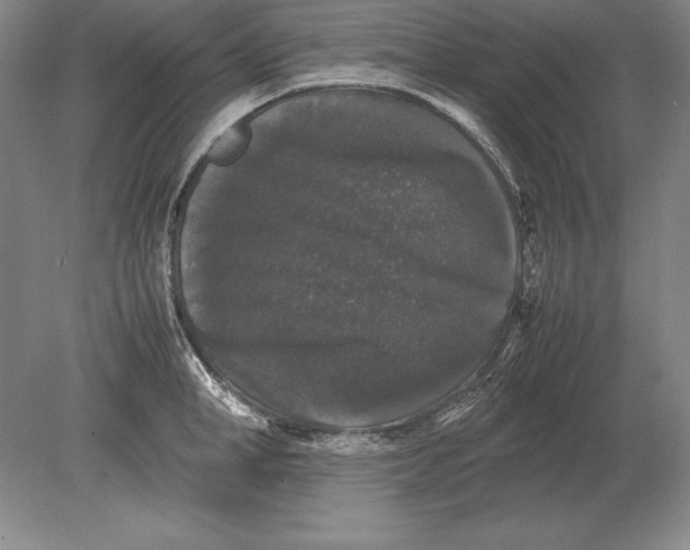 X0000078840998200612041834