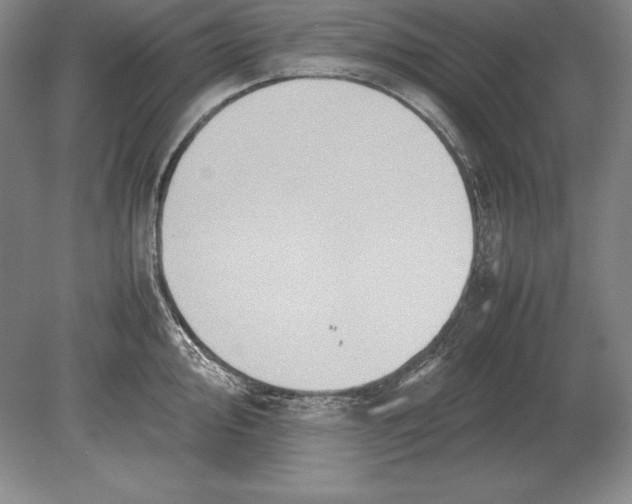 X0000078841000200612041834