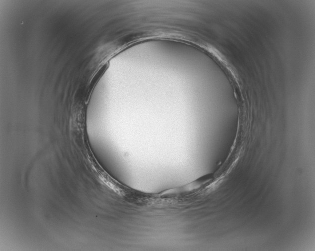 X0000078841001200612041834