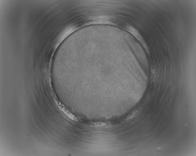 X0000078841002200612041834