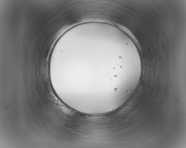 X0000078841004200612041834