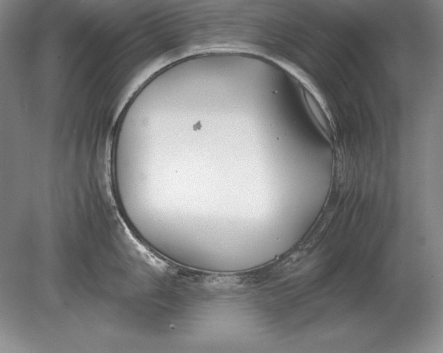 X0000078841006200612041834