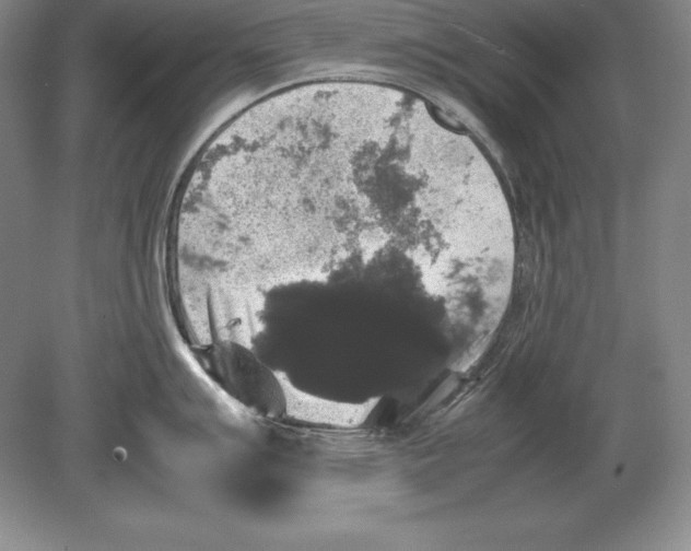 X0000078841007200612041834