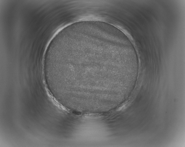 X0000078841008200612041834