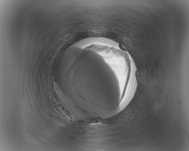 X0000078841009200612041834