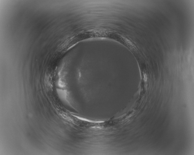 X0000078841010200612041834