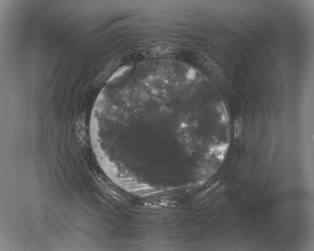 X0000078841011200612041834