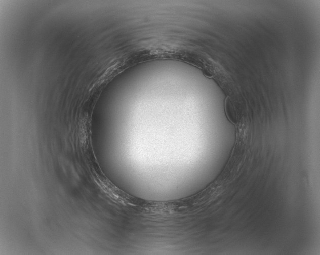 X0000078841012200612041834