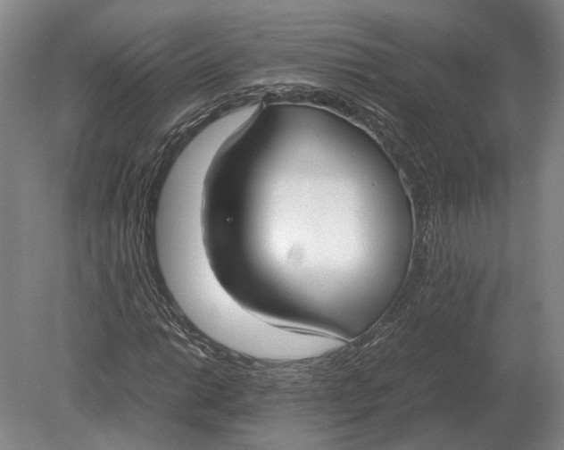 X0000078841014200612041834