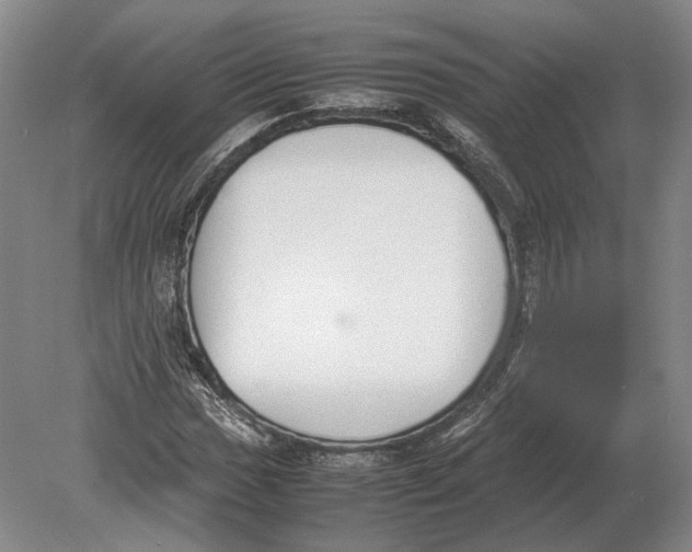 X0000078841017200612041834