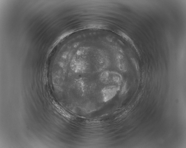 X0000078841019200612041834