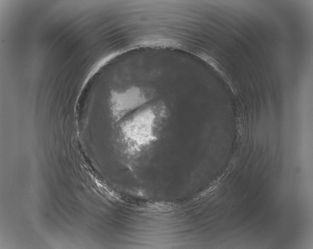 X0000078841022200612041834