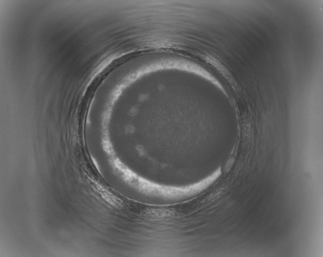 X0000078841023200612041834