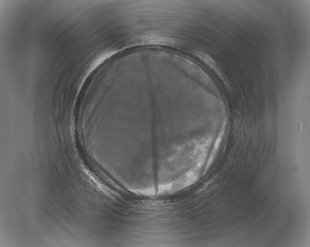 X0000078841024200612041834