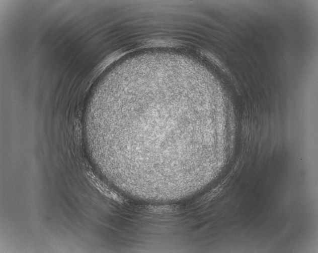 X0000078841025200612041834