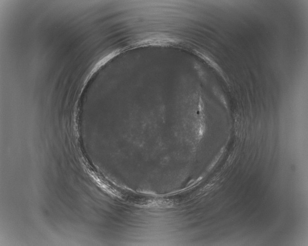 X0000078841026200612041834