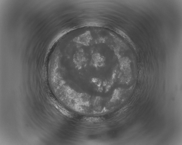 X0000078841027200612041834