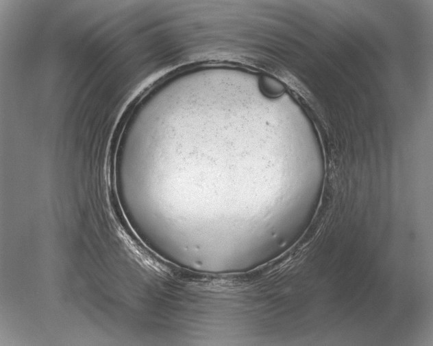 X0000078841028200612041834