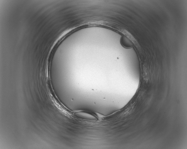 X0000078841036200612041834