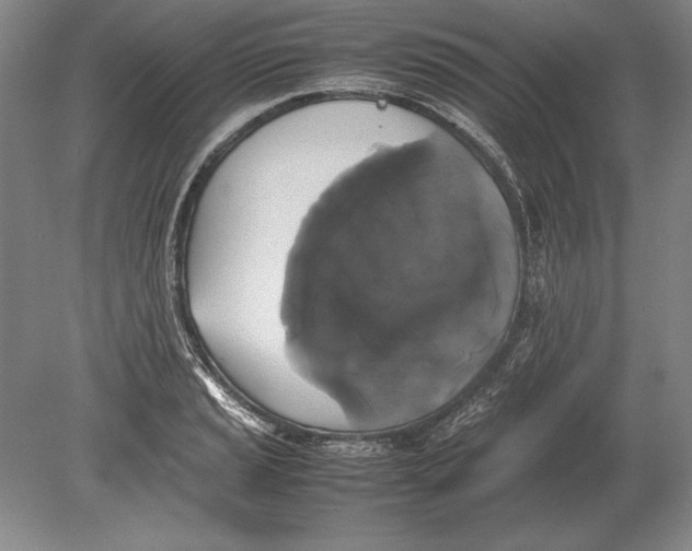 X0000078841037200612041834