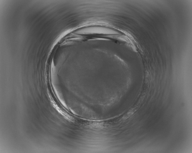 X0000078841038200612041834