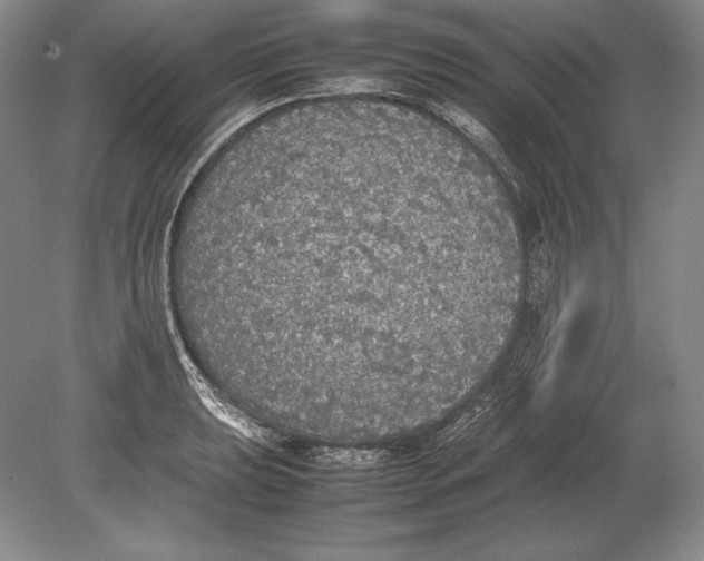 X0000078841039200612041834