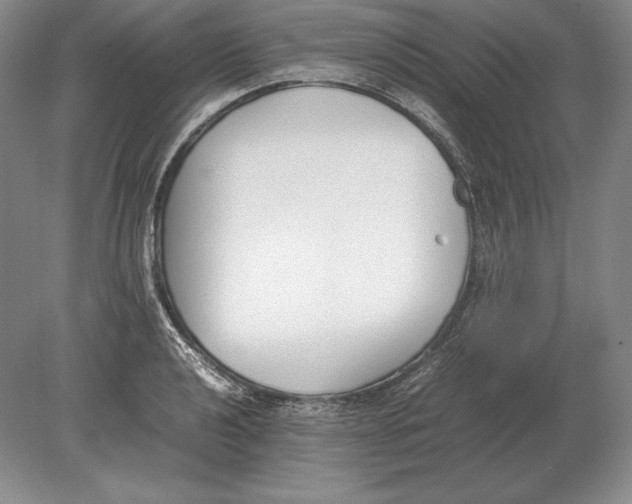 X0000078841040200612041834