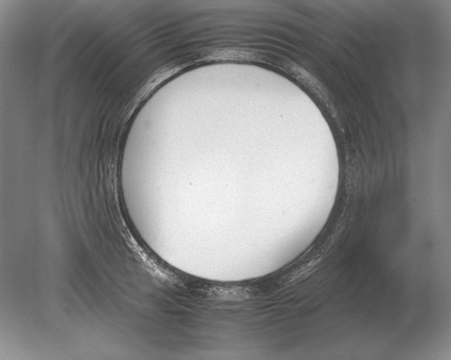 X0000078841041200612041834