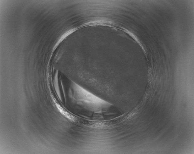 X0000078841042200612041834