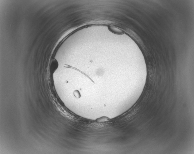 X0000078841044200612041834