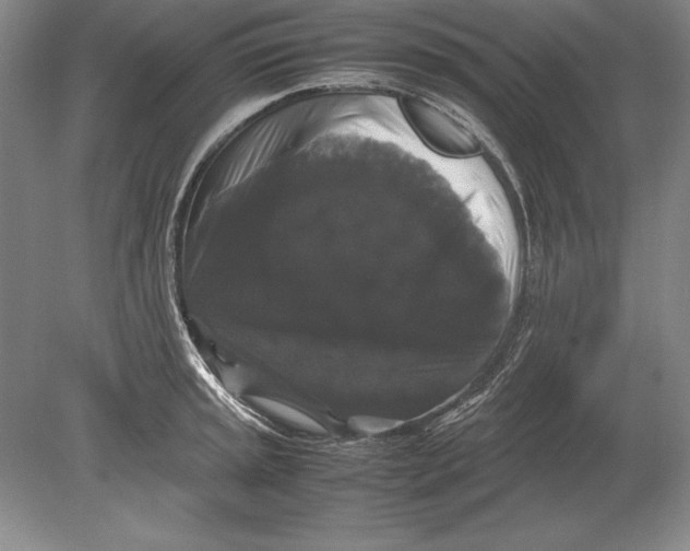 X0000078841045200612041834