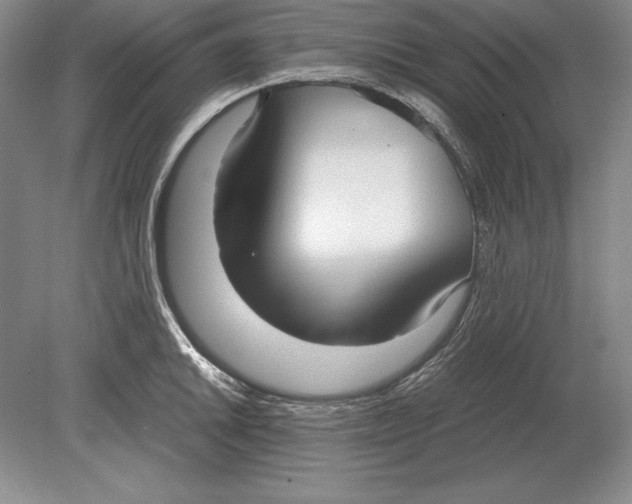 X0000078841046200612041834