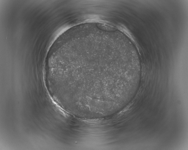 X0000078841048200612041834