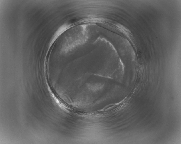 X0000078841050200612041834