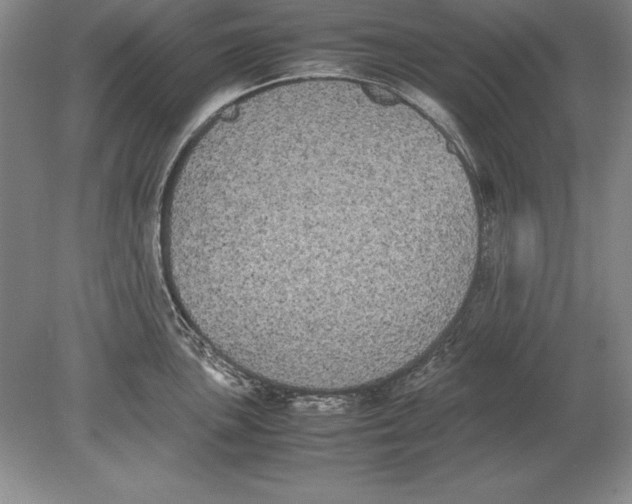 X0000078841051200612041834